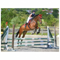 Photo de profil de Urluberlu