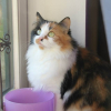 Photo de Lola