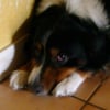 Photo de KAPI