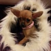 Photo de Missy