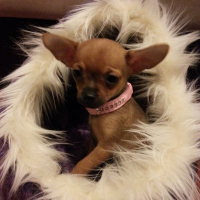 Photo de profil de Missy