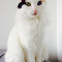 Photo de profil de Deedee