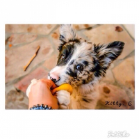 Photo de profil de Leila