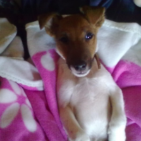 Photo de profil de IGLOO