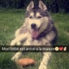Photo de Taīgo