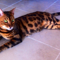 Photo de profil de Gaspard