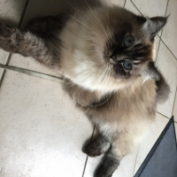 Photo de profil de Bounty 