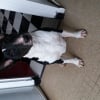 Photo de Goliath