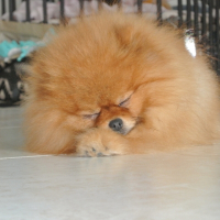 Photo de profil de Bloo