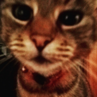 Photo de profil de Cerise