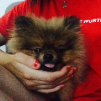 Photo de profil de Joyce