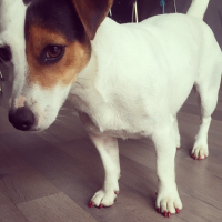 Photo de profil de Iria