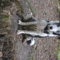 Photo de profil de leroy