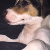 Photo de profil de Jackie