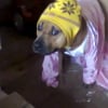 Photo de ziva