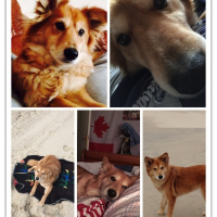 Photo de profil de Dolly 