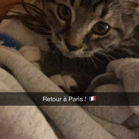 Photo de profil de Merlin