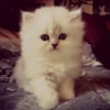 Photo de Isaiah