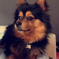 Photo de profil de Winni 