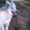 Photo de milka
