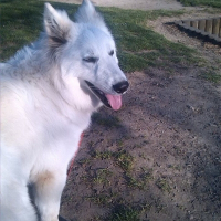 Photo de profil de milka