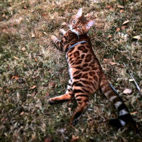 Photo de profil de Julius
