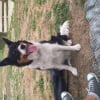 Photo de Dixy 