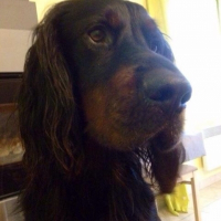 Photo de profil de Eole