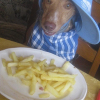Photo de profil de dandy