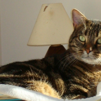 Photo de profil de LEO