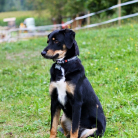 Photo de profil de Kaiko