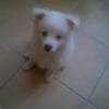 Photo de yuki