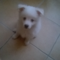 Photo de profil de yuki