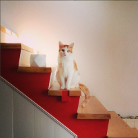 Photo de profil de Roucky