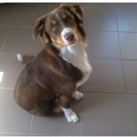 Photo de profil de Jynka