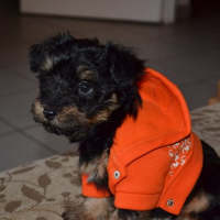 Photo de profil de Eliott
