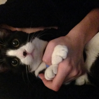 Photo de profil de Sushi