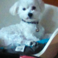 Photo de profil de lucky
