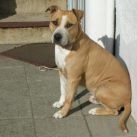 Photo de profil de Lordko