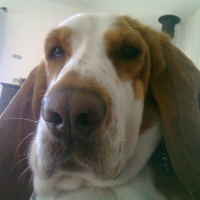 Photo de profil de Dolly
