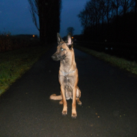 Photo de profil de julie