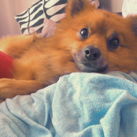 Photo de profil de filou