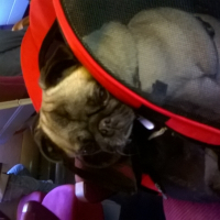 Photo de profil de BABOU