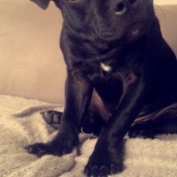 Photo de profil de Lewis