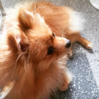 Photo de profil de Jazz'Y