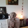 Photo de FIDJI