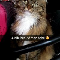 Photo de profil de Friga