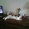 Photo de sarha