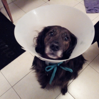 Photo de profil de Scoop