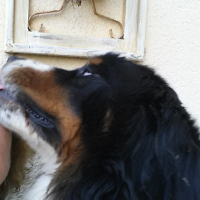 Photo de profil de Fonzy